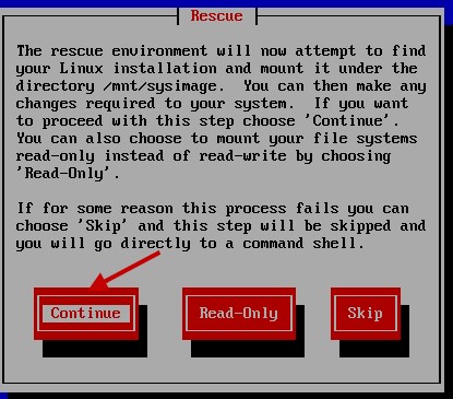 如何使用找到的 Linux 磁盘系统，建议用 Continue （RW） 模式
