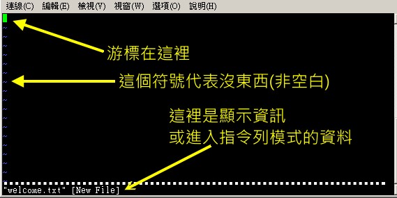 用 vi 打开一个新文件